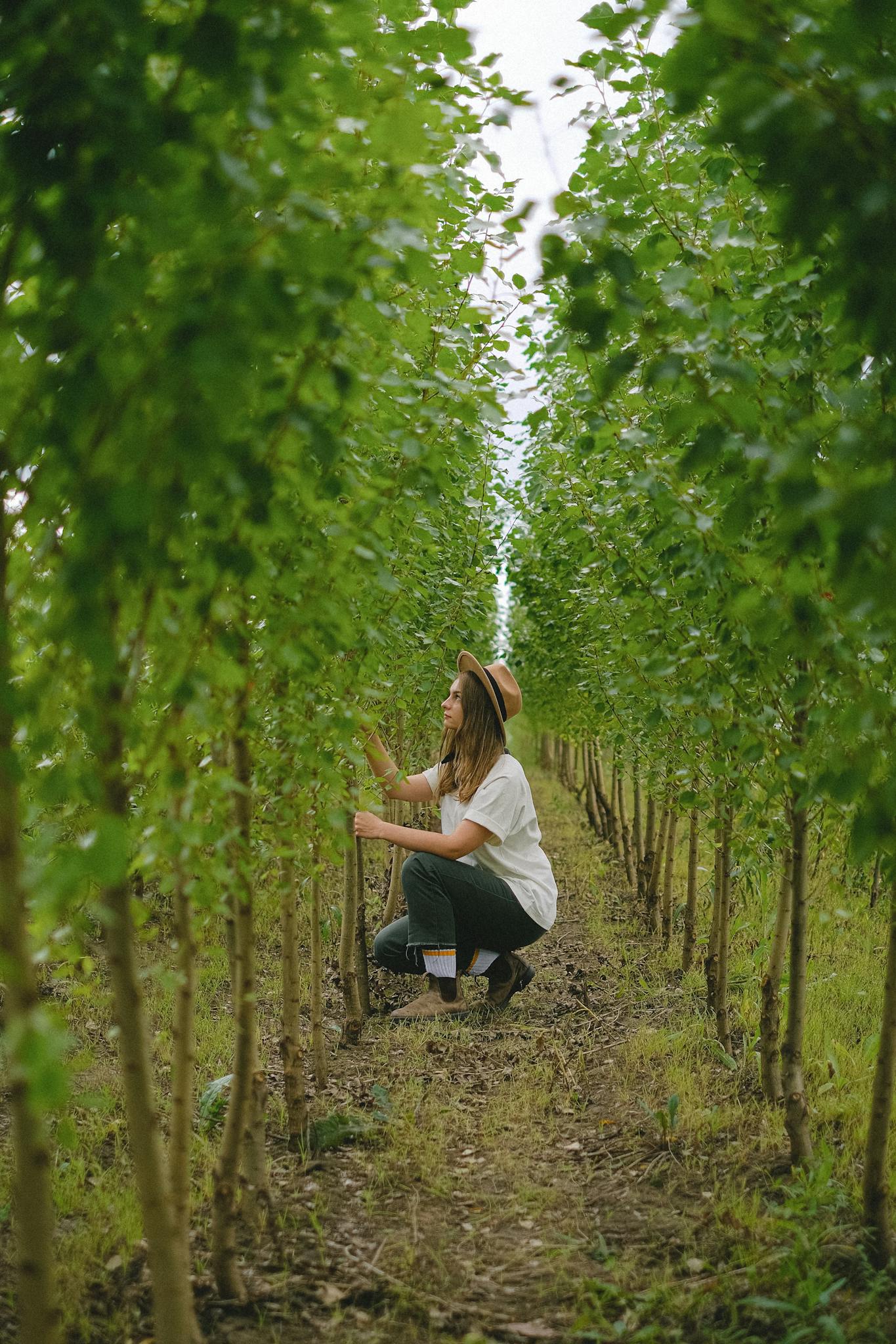 A woman in a hat tending to young trees in a lush orchard setting.