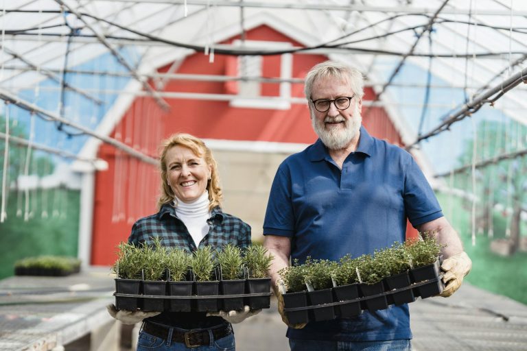 A cheerful couple holds trays of plants, showcasing greenhouse horticulture.
